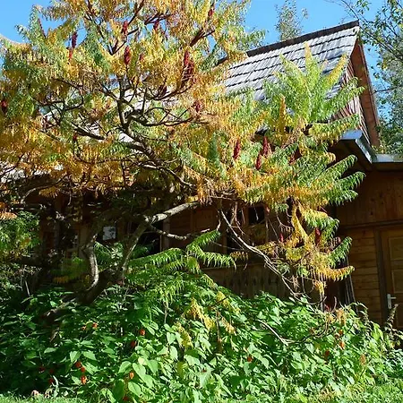 Woodenhouse Maramures Felsővisó